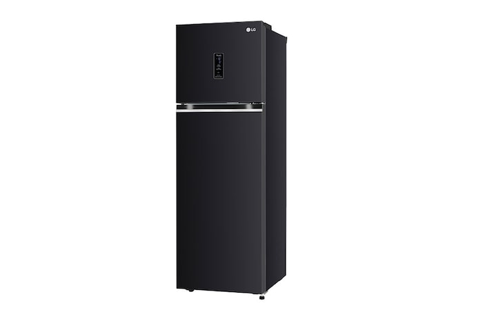 LG 272L Double Door Refrigerator, Wi-Fi Convertible, Door Cooling+™, Ebony Sheen Finish, 3 Star, GL-T312TESX