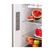 LG 322L Double Door Refrigerator, Wi-Fi Convertible, DoorCooling+™, Smart Diagnosis™, Shiny Steel, 2 Star, GL-T342TPZY