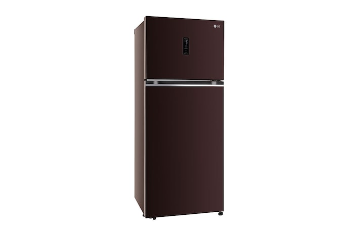 LG 380L Double Door Refrigerator, Convertible, Wi-Fi, Door Cooling™, Russet Sheen Finish, 3 Star, GL-T412VRSX