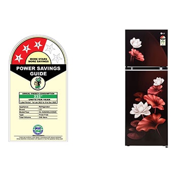 LG GL-S262SSLX Refrigerators Front View with content