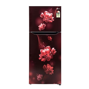 LG GL-N292BSCY Double Door Refrigerators front view