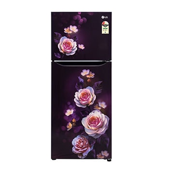Front view of LG 242L Double Door Refrigerator with Smart Inverter Compressor, Multi-Air Flow, Purple Bloom, 2 Star GL-N292DPBY