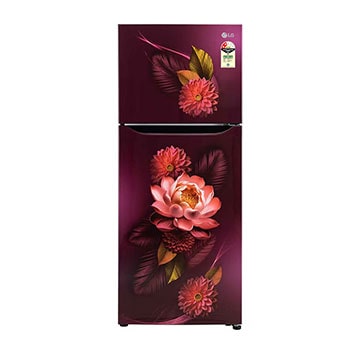 Front view of LG 240L Double Door Refrigerator with Smart Inverter Compressor, Multi-Air Flow, Red Water Lily, 2 Star GL-S292SRWY
