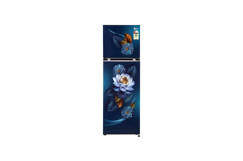 Front view of LG 272L Double Door Refrigerator, Smart Inverter Compressor, Convertible, Frost-Free, Blue Waterlily Finish, 2 Star GL-S312SBWY