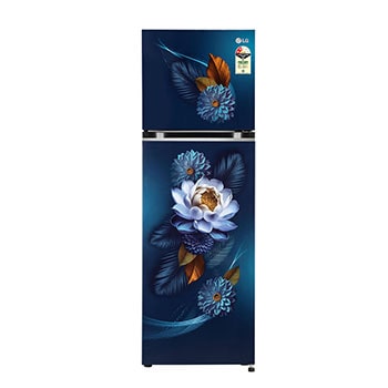 Front view of LG 272L Double Door Refrigerator, Smart Inverter Compressor, Convertible, Frost-Free, Blue Waterlily Finish, 2 Star GL-S312SBWY