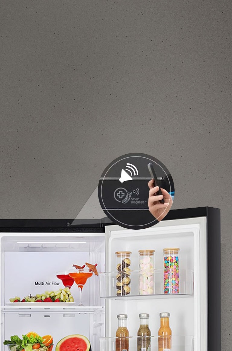 LG GL-B257HWBY Refrigerator Smart Diagnosis