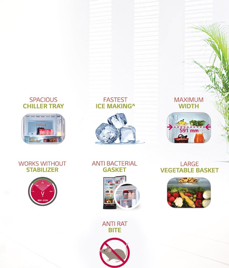 LG GL-B281BBCX 270 ltr Key Features