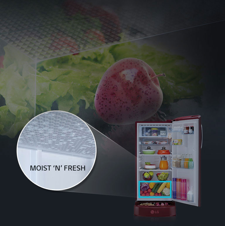LG GL-D241ABCY 235 ltr moist fresh