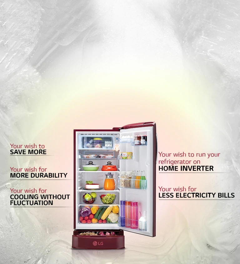 LG GL-D241ABCY 235 ltr wish list