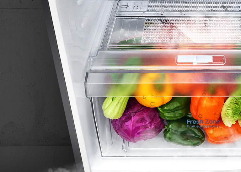 LG GL-N292DPZY LG Double Door Refrigerator With Moist ‘n' Fresh