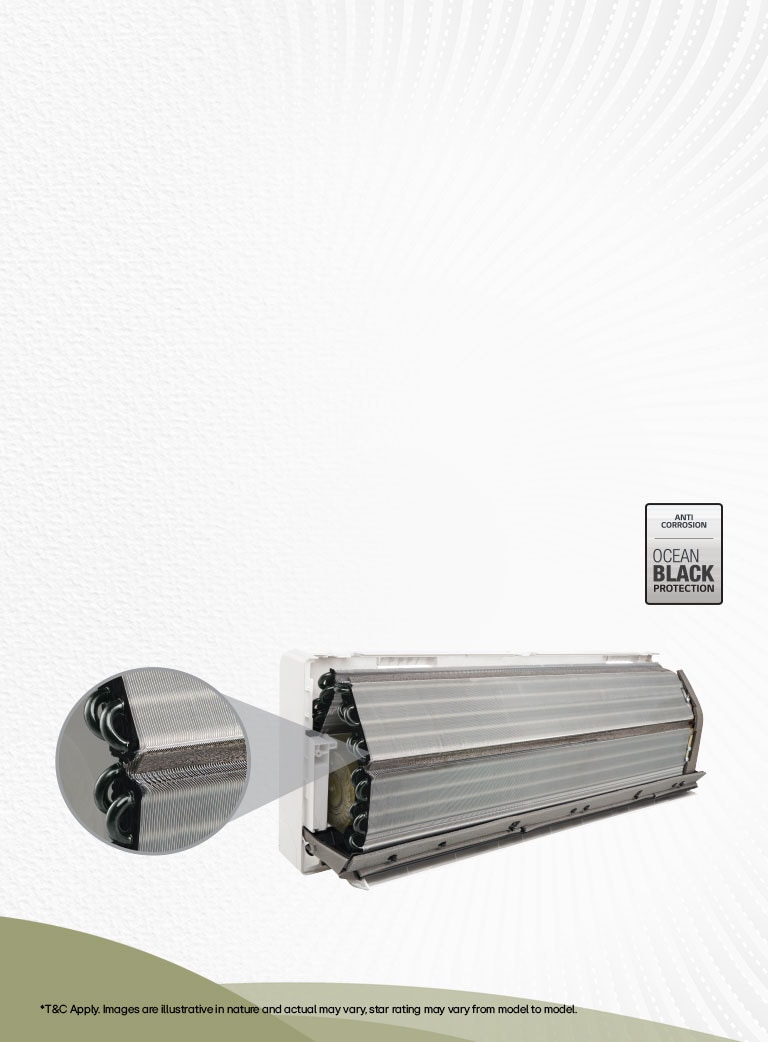 Ocean Black Protection