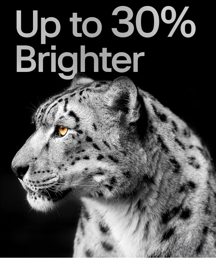 A white leopard showing its side face on the left side of the image. The words "Up to 30% brighter" appear on the left.	