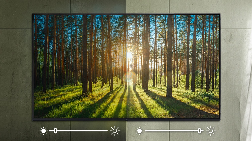 LG-43UR7550PSC-A screen, depicting an image of a forest, having its brightness being adjusted for depending on the surrounding.
