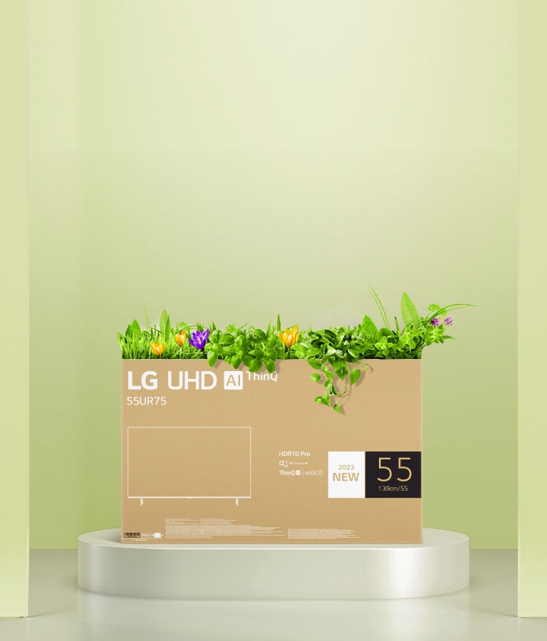 LG-55UR7550PSC-A flower box upcycled using an LG UHD TV box packaging.