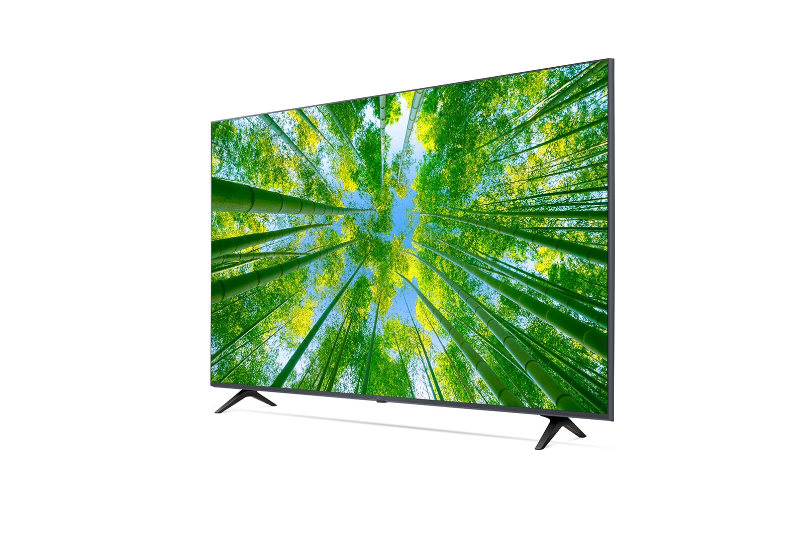 LG UHD TV UQ80 65 (164cm) 4K Smart TV | WebOS | ThinQ AI | Active HDR, 65UQ8040PSB