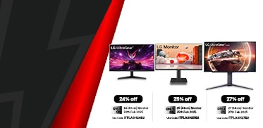 Monitor Flash Sale