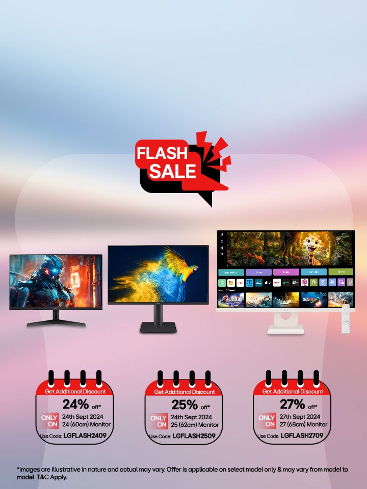 Monitor Flash Sale