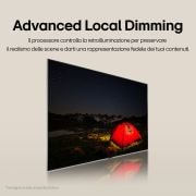 Caratteristica Advanced Local Dimming