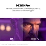 Caratteristica "HDR10 Pro"