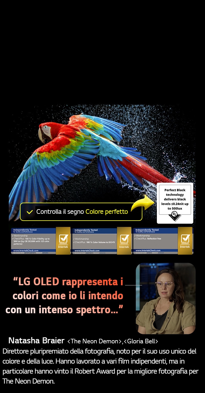 Pappagallo colorato in altissima definizione su sfondo nero. Gocce d’acqua sono sospese nell’aria tutt’intorno. L’immagine mostra il colore perfetto, in quanto ogni diversa tonalità sul corpo del pappagallo è nitida e vivida. Inoltre, lo sfondo scuro con gli schizzi d’acqua dettagliati mette in evidenza come lo schermo sia privo di riflessi. Sono visibili diverse certificazioni con logo UL e Intertek. Questi si riferiscono alla fedeltà del colore al 100%, al 100% di volume di colore e all’assenza di riflessi. Anche il testo è visibile, verifica il marchio di certificazione dei Colori perfetti.