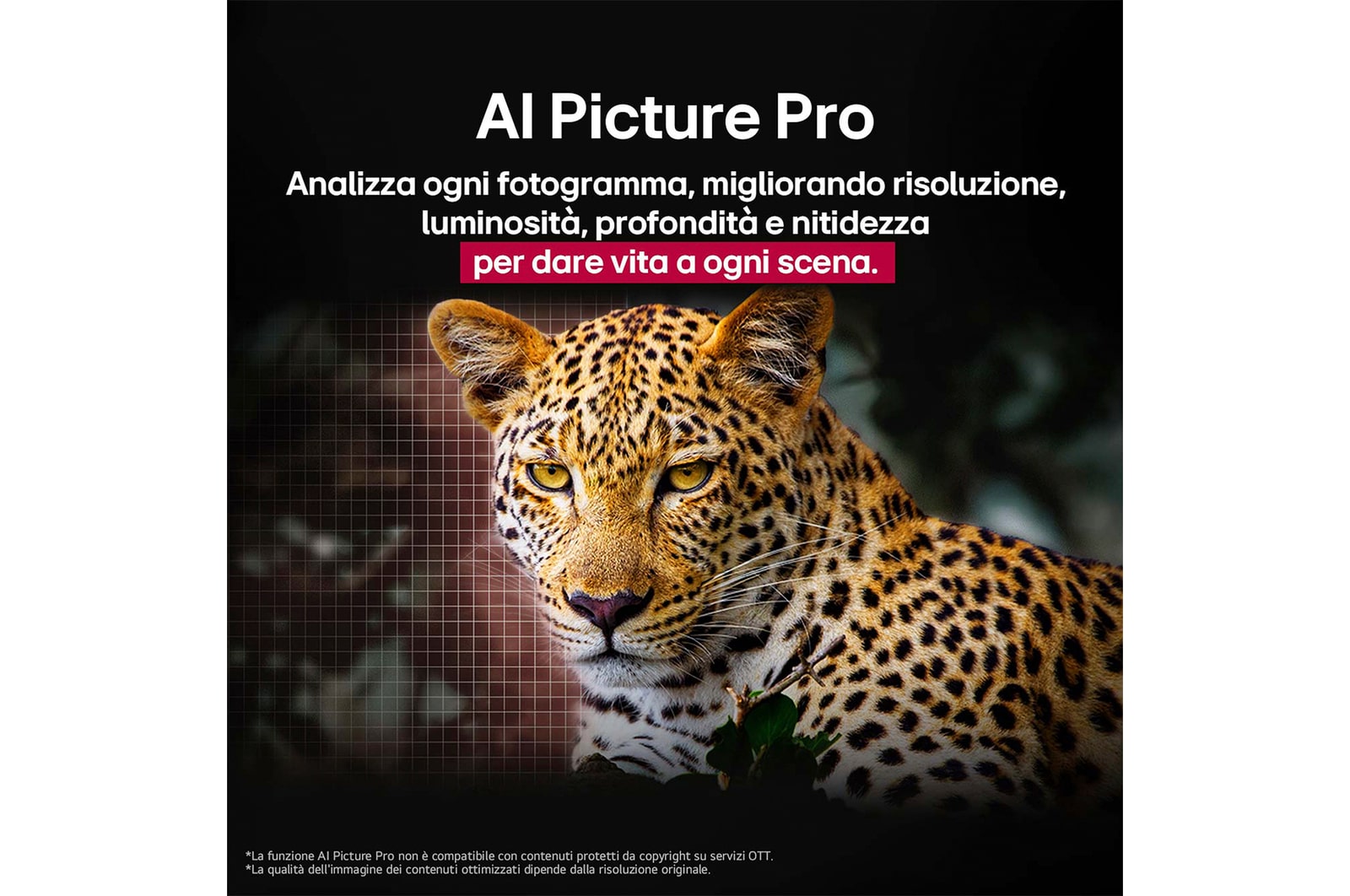 Leopardo nella foresta, dai colori vividi e ricco di dettagli. Il leopardo ha una griglia e una luce che brilla dietro di esso, indicando come LG AI Picture Pro ha apportato notevoli miglioramenti visivi alla risoluzione, alla luminosità, alla profondità e alla chiarezza della scena.