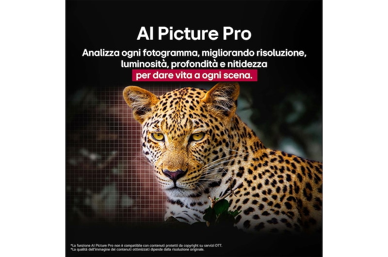 Leopardo nella foresta, dai colori vividi e ricco di dettagli. Il leopardo ha una griglia e una luce che brilla dietro di esso, indicando come LG AI Picture Pro ha apportato notevoli miglioramenti visivi alla risoluzione, alla luminosità, alla profondità e alla chiarezza della scena.