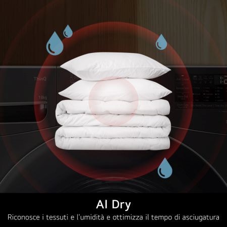 AI Dry asciugatrice RNX5009TWWC