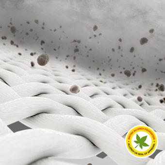 Delle fibre di tessuto con della polvere