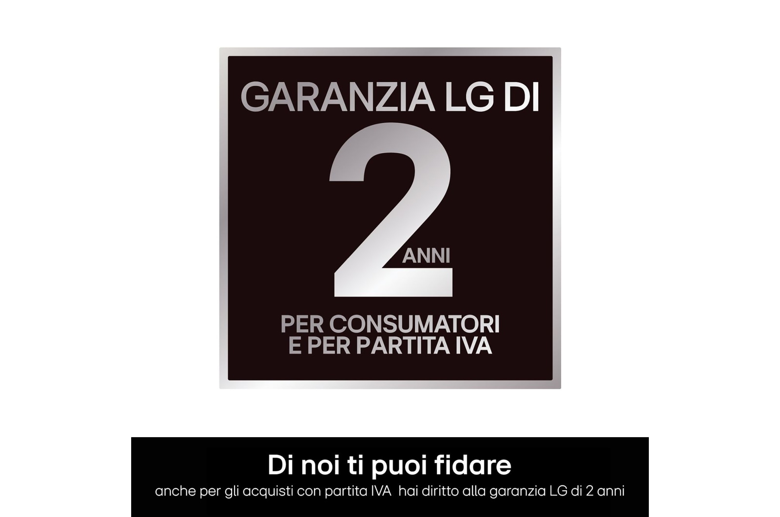 Caratteristica 2 anni di garanzia per consumatori e partite IVA