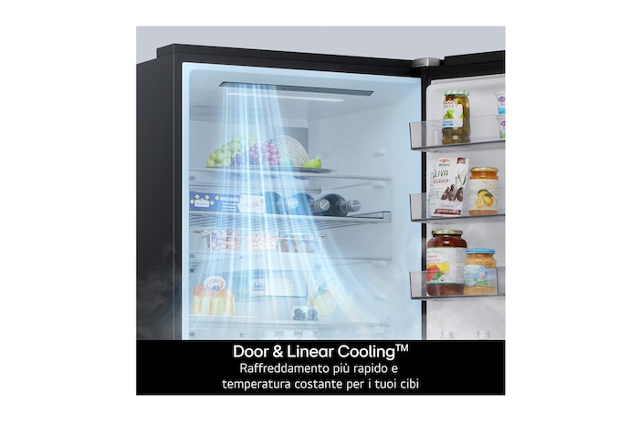 Caratterisitica Door+Linear cooling frigorifero combinato GBBSJ20EPY