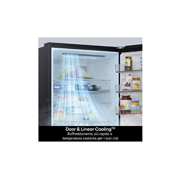 Caratterisitica Door+Linear cooling frigorifero combinato GBBSJ20EPY