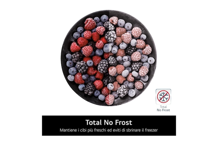 Caratterisitica Total NO frost frigorifero combinato GBBSJ20EPY