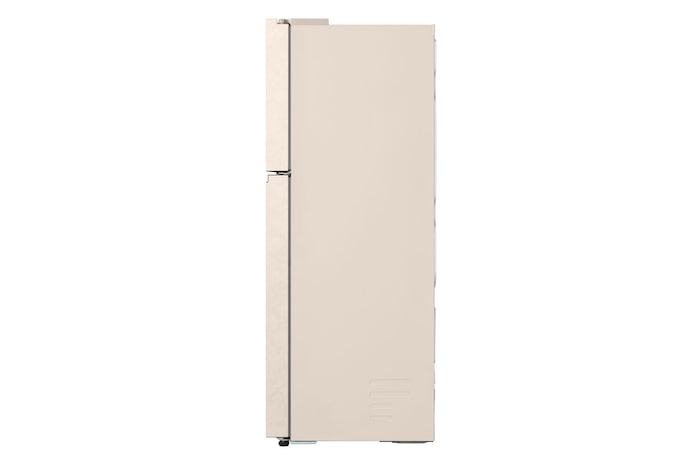 Foto del frigorifero LG GTFV61SEBQD con posa laterale