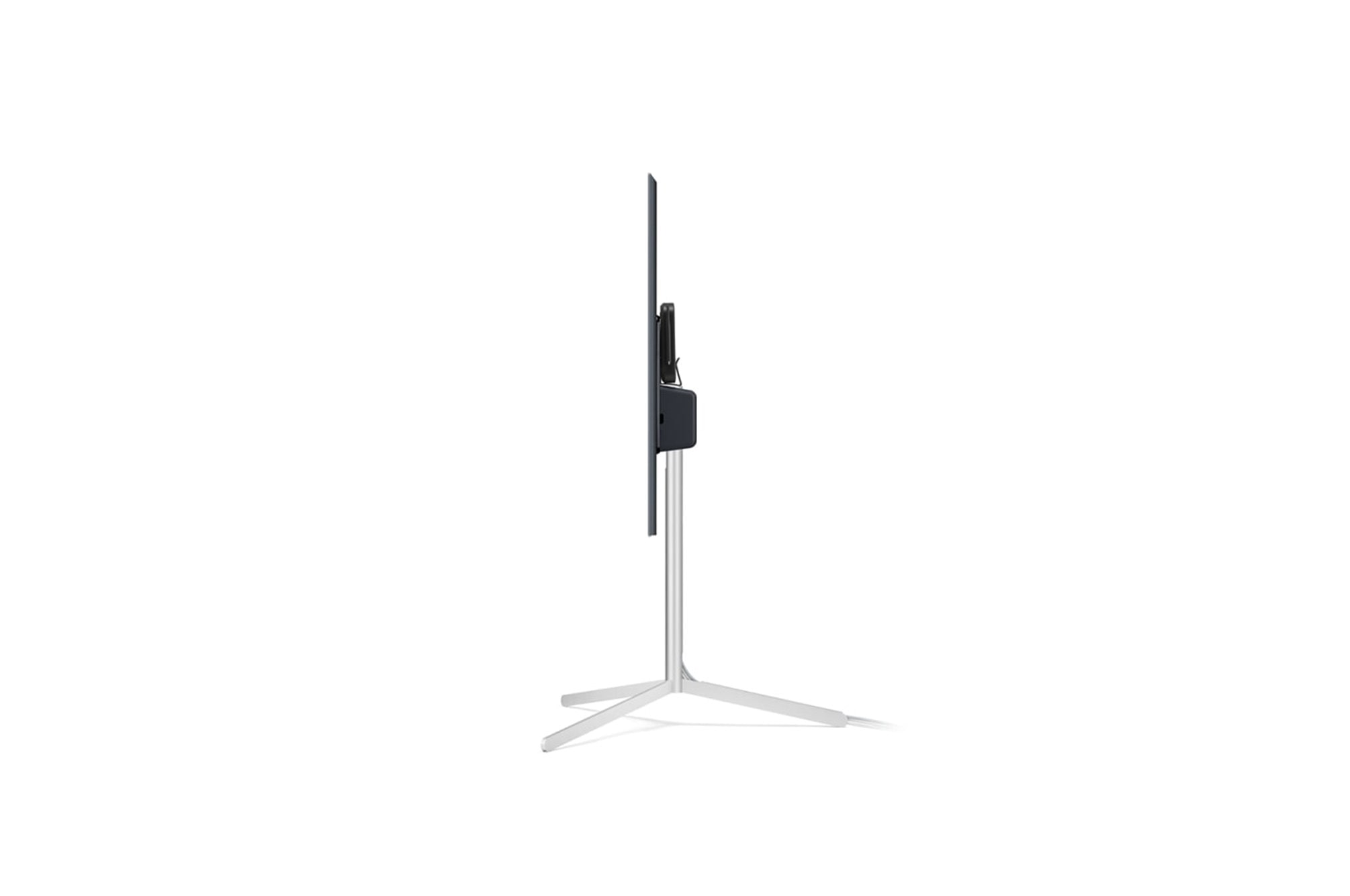LG Gallery Stand LG OLED, FS21GB