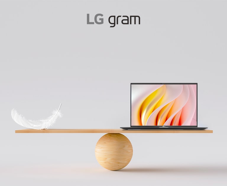 LG gram +view, Monitor Portatile da 16, IPS 16:10 con risoluzione 2.5K e  connessione USB-C - 16MR70