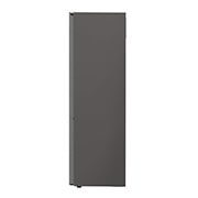 LG Frigorifero Combinato Classe energetica D Maniglie integrate Display interno LED, GBB62PZGFN