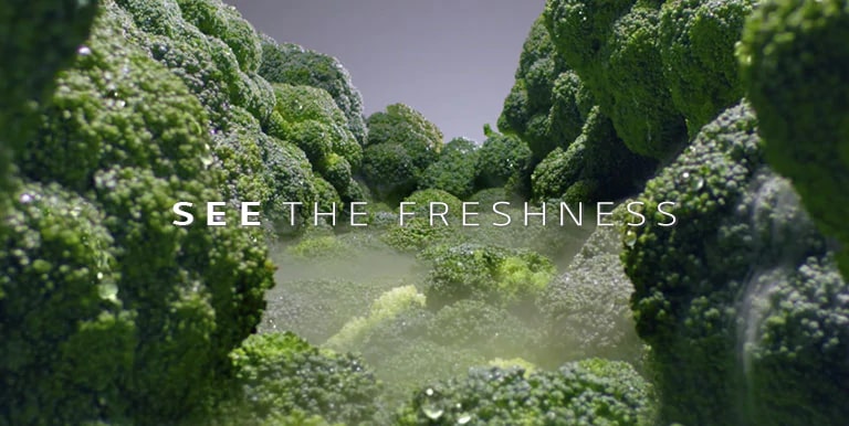 Feature03-1_frigoriferi-combinati_LinearCooling_D