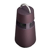 LG XBOOM 360 Speaker con Audio Omnidirezionale da 120W e Illuminazione emozionale, RP4