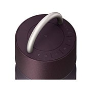 LG XBOOM 360 Speaker con Audio Omnidirezionale da 120W e Illuminazione emozionale, RP4