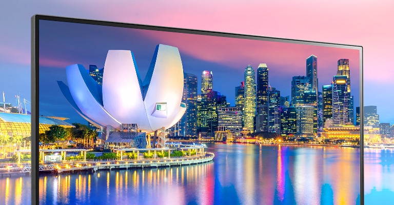 IPS con sRGB 99% (Tip.) Colori realistici e visione ampia.