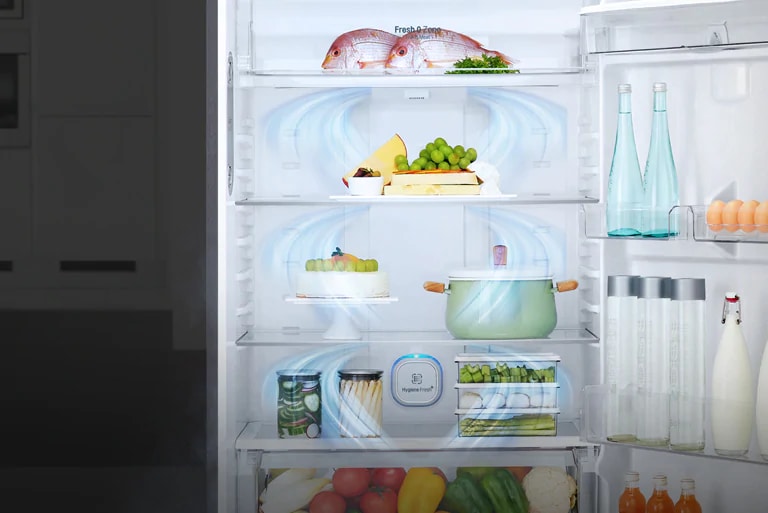 LG GTF916PZPYD frigorifero con congelatore Libera installazione 592 L E  Acciaio : : Gros électroménager