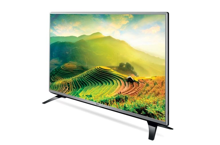 LG TV LED 43" Full HD Smart TV Wi-Fi Integrato, 43LH560V