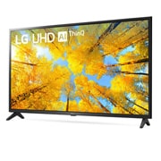 LG Smart TV Ultra HD da 43 pollici LG, 43UQ75006LF