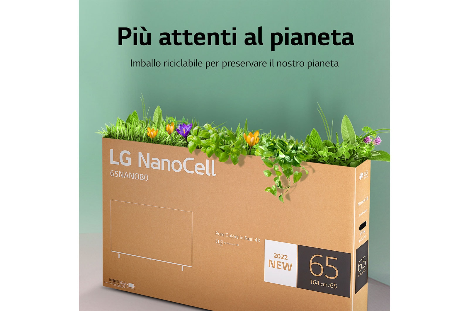 LG TV NanoCell | Serie NANO75 55'' | 4K, α5 Gen5, HDR10, 20W, 3 HDMI, Game Optimizer, Wi-Fi 5, Smart TV WebOS 22, 55NANO756QC