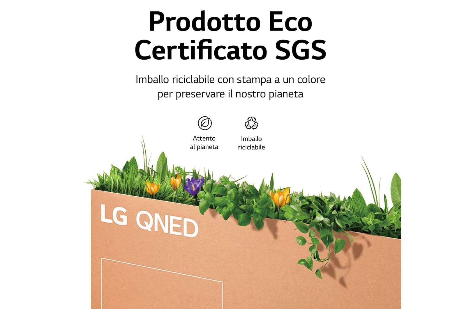 LG QNED MiniLed | TV 75'' Serie QNED86 | QNED 4K, Smart TV, Dolby Vision IQ e Atmos, 75QNED866QA