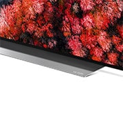 LG TV OLED 55" AI 4K Cinema HDR Smart TV Dolby Vision™ Dolby Atmos® Google Assistant e Alexa, OLED55C9PLA