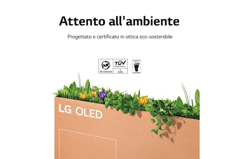 LG OLED | TV 65'' Serie B2 | OLED 4K, Smart TV, Dolby Vision IQ e Atmos, OLED65B26LA