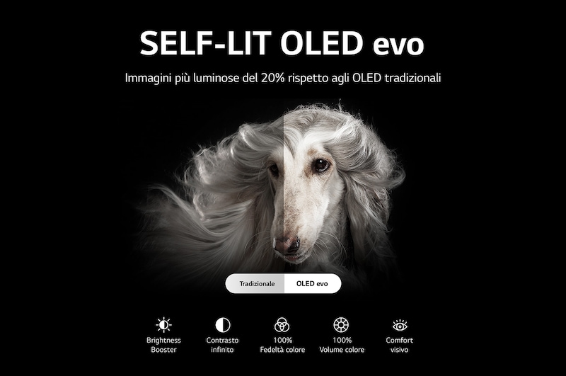 LG Smart TV da 65 pollici OLED evo LG, OLED65C24LA