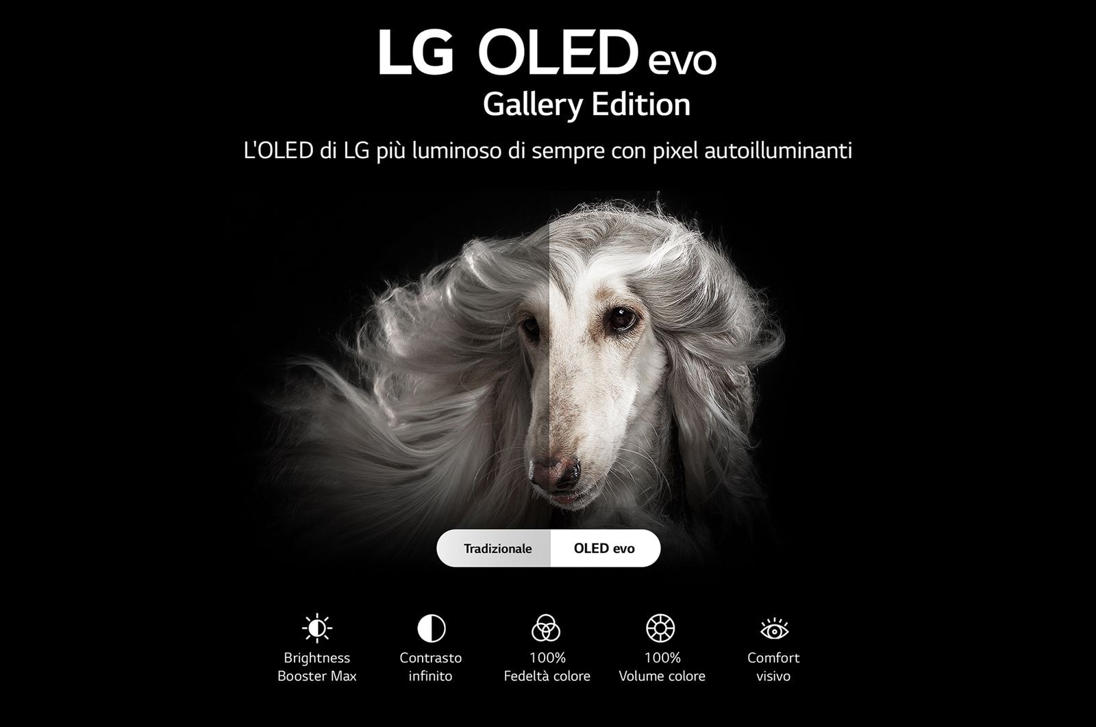 LG TV OLED Gallery Edition da 77 pollici, OLED77G26LA