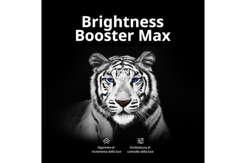 LG TV OLED evo | Serie G3 55'' | 4K, α9 Gen6, Brightness Booster Max, 60W, 4 HDMI con VRR, G-Sync, Wi-Fi 6, Smart TV WebOS 23, OLED55G36LA